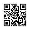 КулЛиб QR: О режиссуре фильма (fb2)