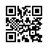 КулЛиб QR: Гвоздь программы (fb2)