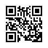 КулЛиб QR: Бумеранг Колчиной (СИ) (fb2)