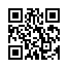 КулЛиб QR: Просто практик (fb2)
