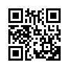 КулЛиб QR: Девушка с пантерой (fb2)