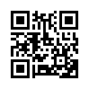 КулЛиб QR: Скальд (fb2)