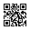 КулЛиб QR: Шлак (fb2)