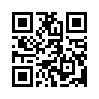 КулЛиб QR: Ответственность (fb2)
