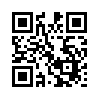 КулЛиб QR: Девушка и Кот (fb2)