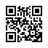 КулЛиб QR: Шут (fb2)