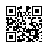 КулЛиб QR: Типичная практика (fb2)