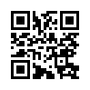 КулЛиб QR: Миросозерцание Флоренского (fb2)