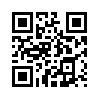 КулЛиб QR: Дурак (fb2)