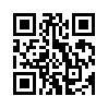 КулЛиб QR: Бастион – N (fb2)