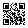 КулЛиб QR: История Руси (fb2)