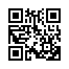 КулЛиб QR: Москва 2087  (fb2)