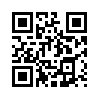 КулЛиб QR: Конец стиля (fb2)