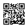 КулЛиб QR: Библиотека (fb2)