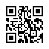 КулЛиб QR: Инженер Петра Великого 13 (fb2)