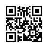 КулЛиб QR: Интервью длиною в годы: по материалам офлайн-интервью (fb2)