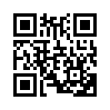 КулЛиб QR: Простая игра (fb2)