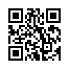 КулЛиб QR: Феномен (fb2)