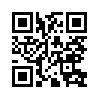 КулЛиб QR: Книга Полетов (fb2)