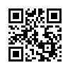 КулЛиб QR: Записки сумасшедшего (fb2)