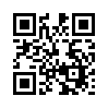 КулЛиб QR: Двойник (fb2)