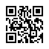 КулЛиб QR: Практикантка (fb2)