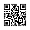 КулЛиб QR: Кастелянша (fb2)