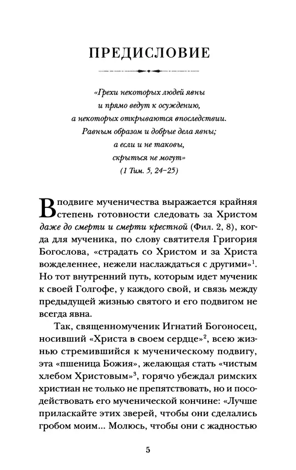 КулЛиб. А. А. Горбачев - Жизнь и труды священномученика Илариона. Страница № 6
