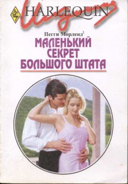 Маленький секрет большого штата (fb2)