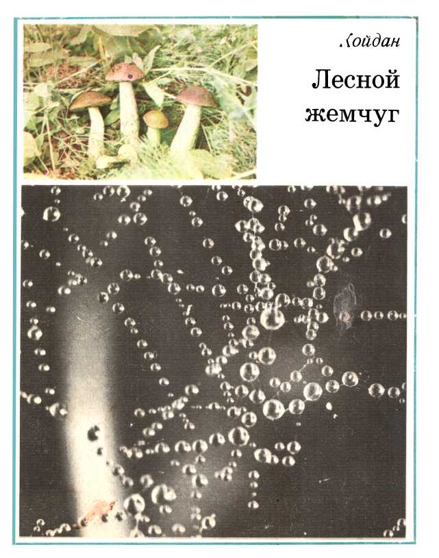 Лесной жемчуг (fb2)