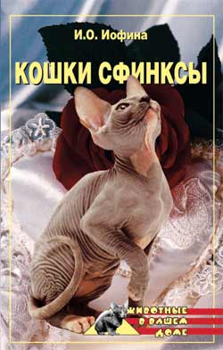 Кошки – сфинксы (fb2)