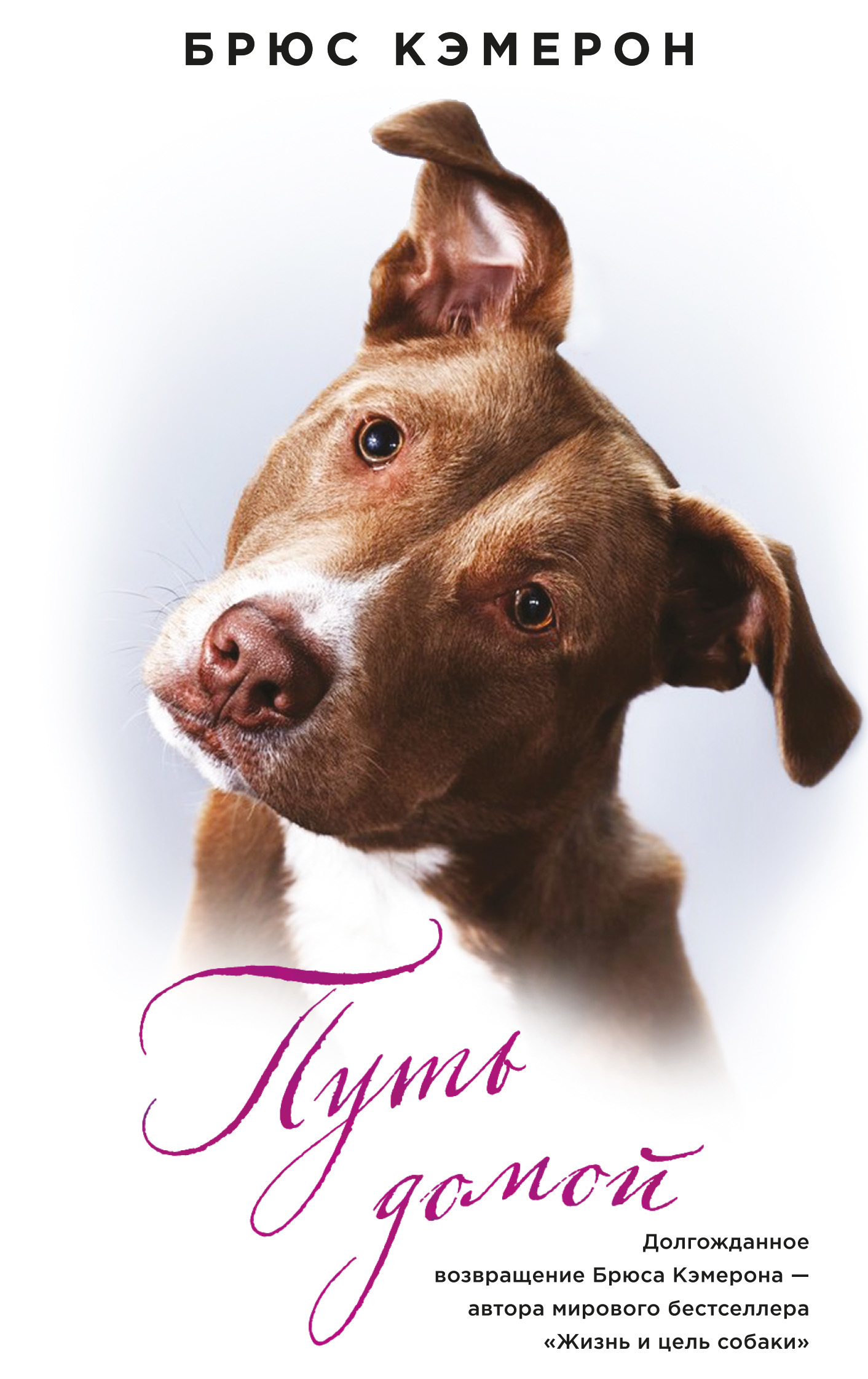 Путь домой (fb2)