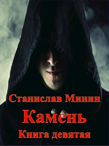 Камень. Книга 9 (fb2)