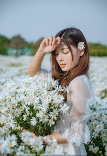 Травница (fb2)