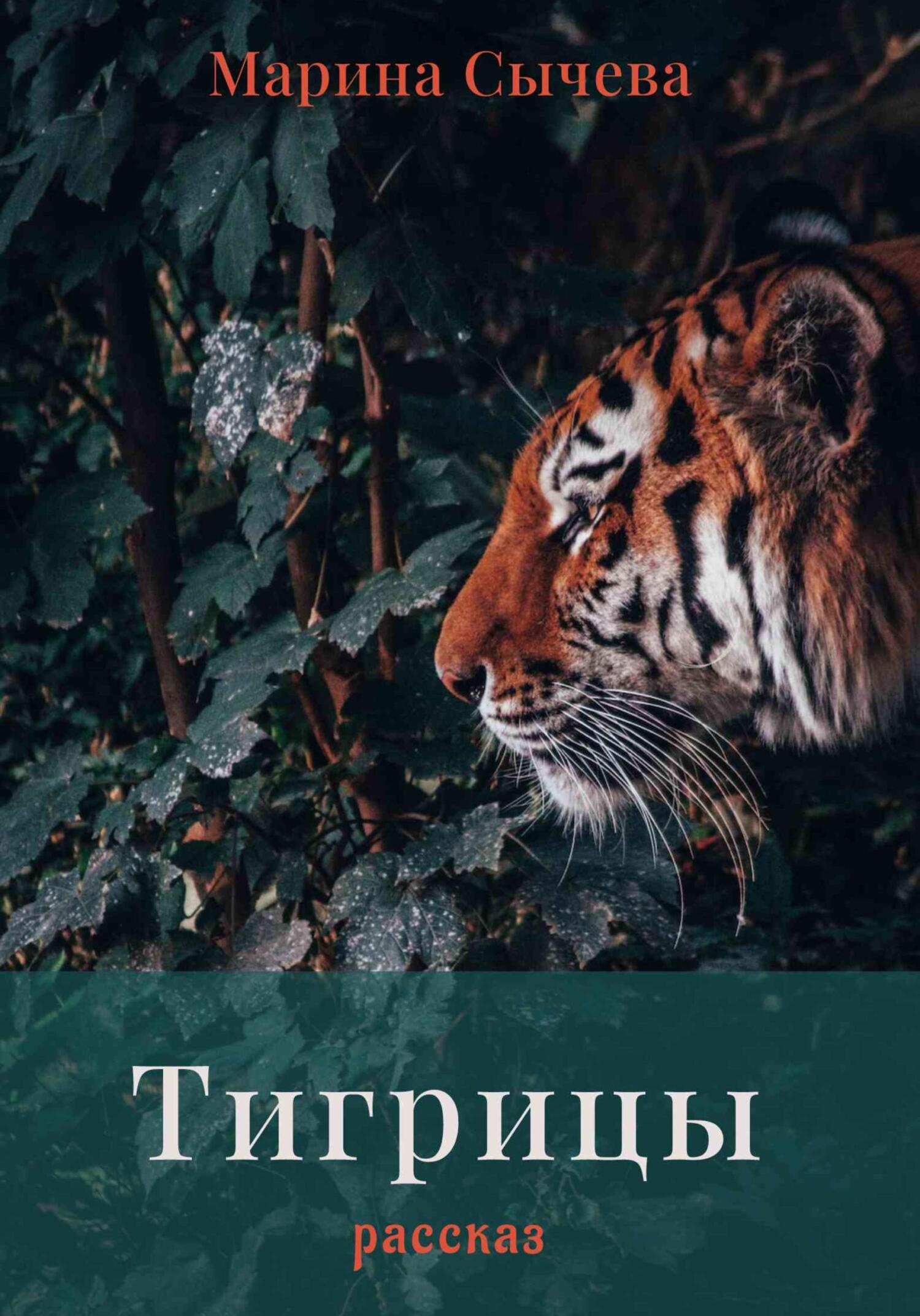 Тигрицы (fb2)
