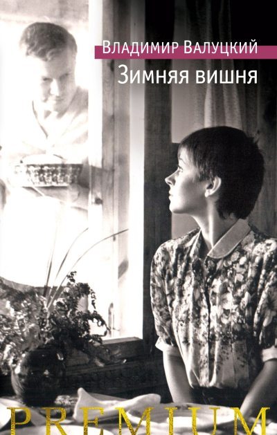 Зимняя вишня (fb2)