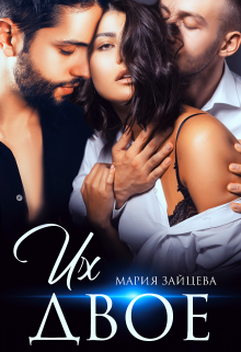Их двое (fb2)