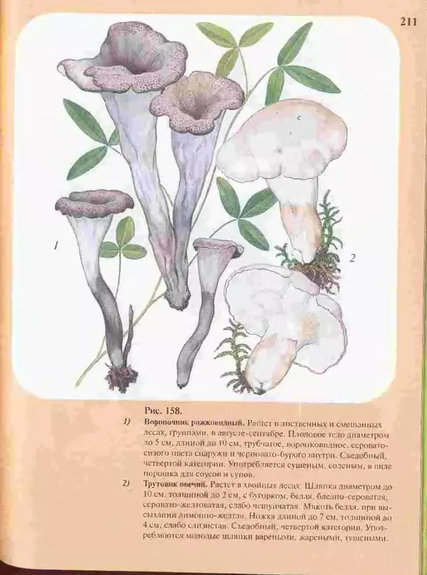КулЛиб. А. В. Юдин - Большой определитель грибов. Страница № 211
