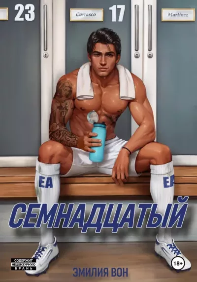Семнадцатый (epub)