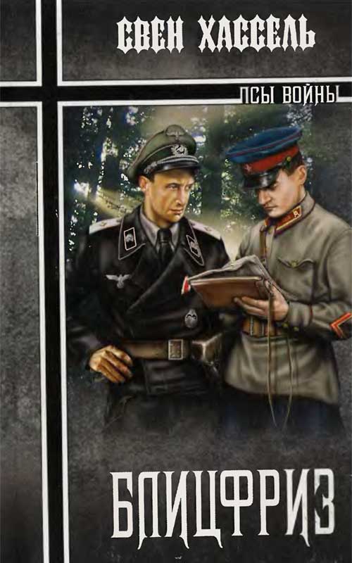 Блицфриз (fb2)
