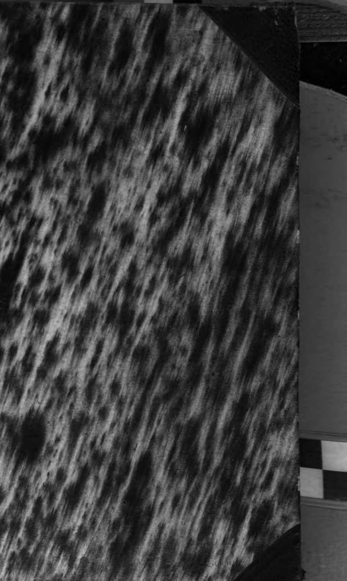 Михаил Васильевич Ломоносов. Том 1 (fb2)