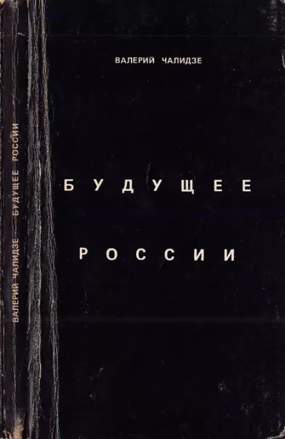 Будущее России (djvu)