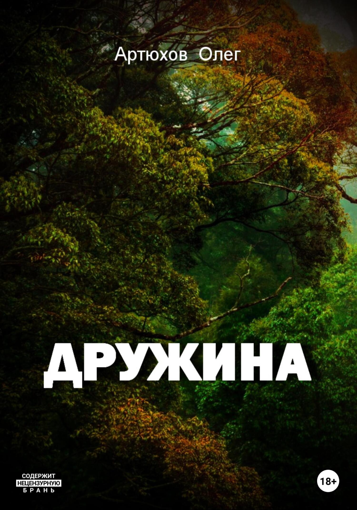 Дружина (fb2)