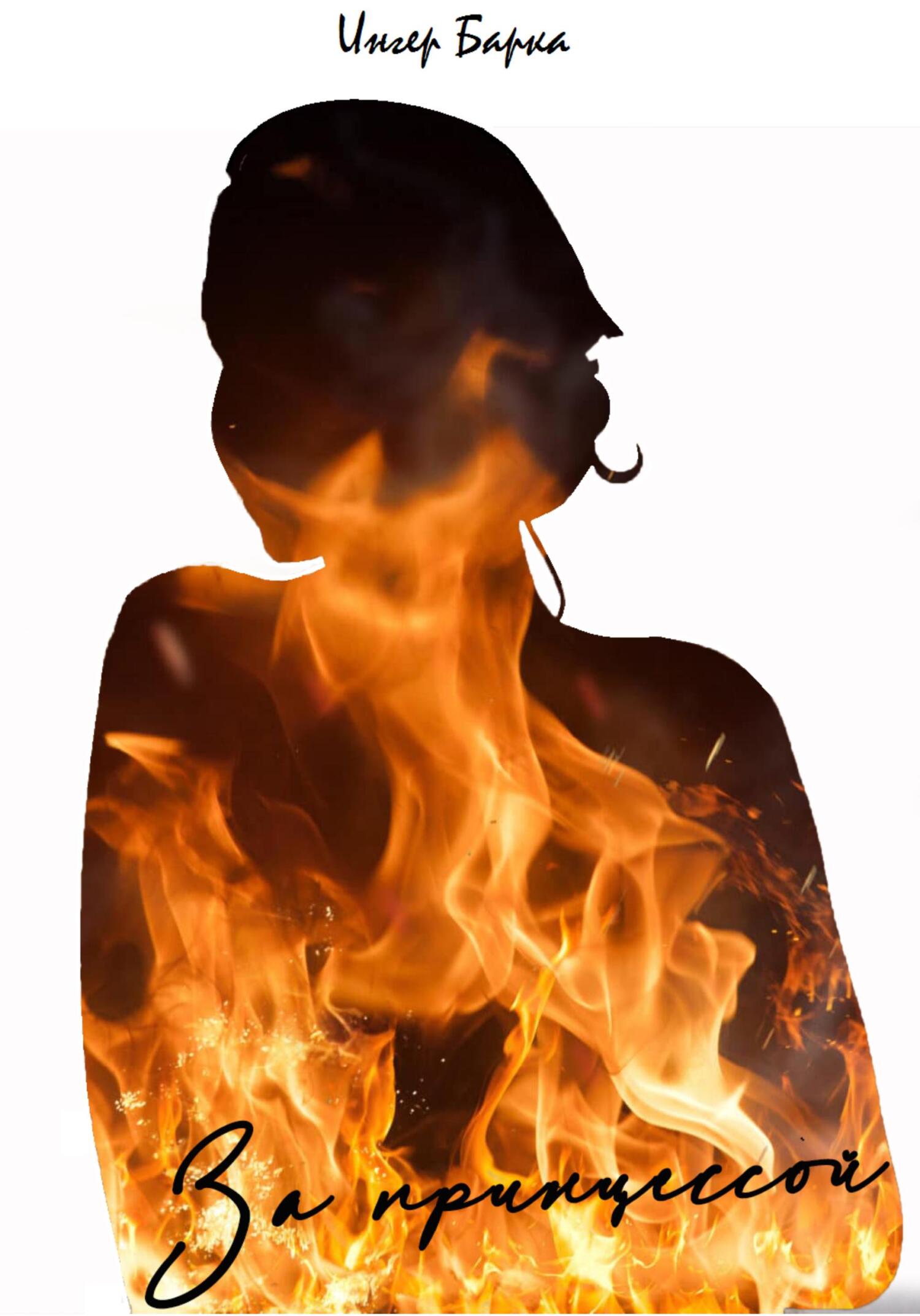 За принцессой (fb2)