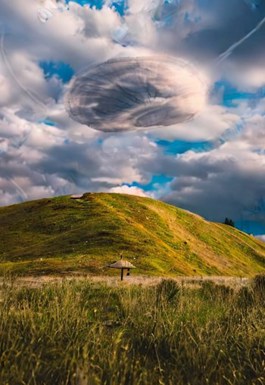 Сила измеряется в ньютонах (fb2)