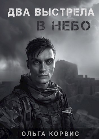 Два выстрела в небо (fb2)
