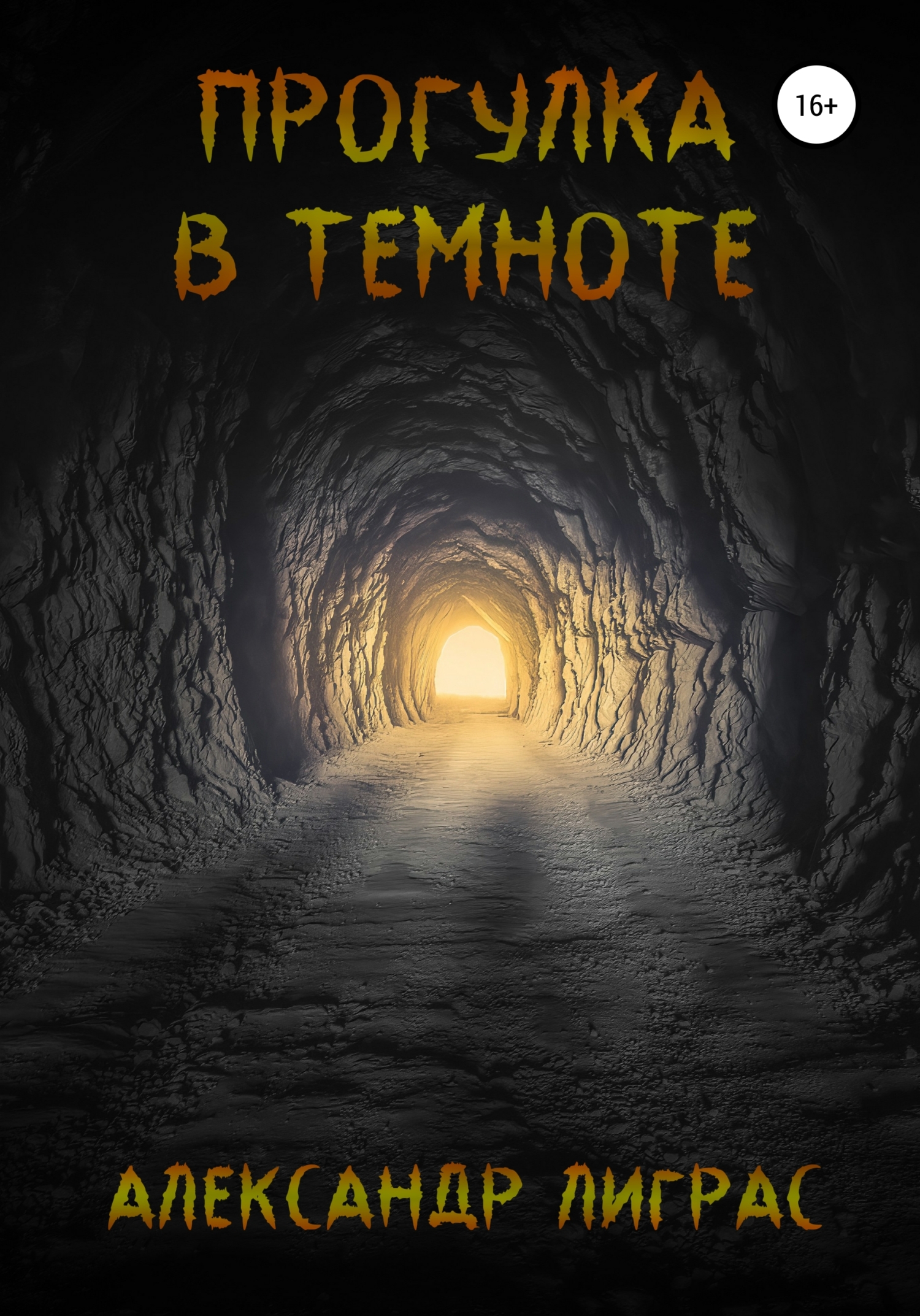 Прогулка в темноте (fb2)