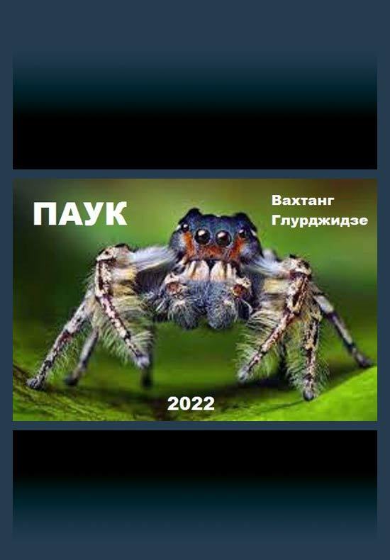 Паук (СИ) (fb2)