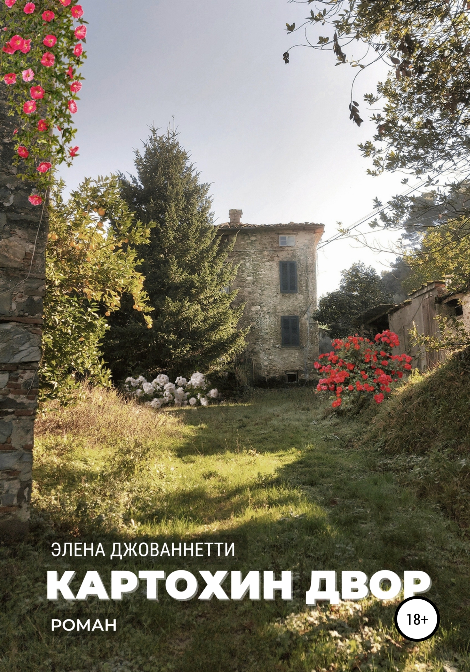 Картохин двор (fb2)