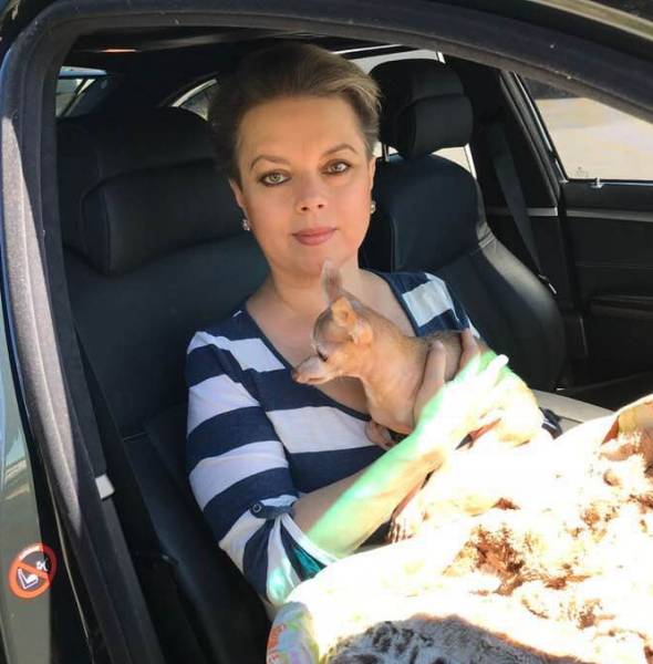 Иллюстрация № 1 читать онлайн КулЛиб